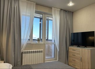 Квартира в аренду студия, 30 м2, Улан-Удэ, улица Смолина, 67 к2