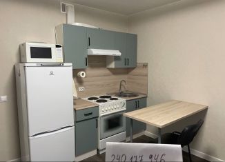 Сдаю квартиру студию, 25 м2, Санкт-Петербург, проспект Королёва, 62