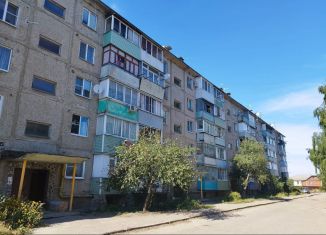 Продажа 1-комнатной квартиры, 30.1 м2, рабочий посёлок Стрелица, улица Гагарина, 27