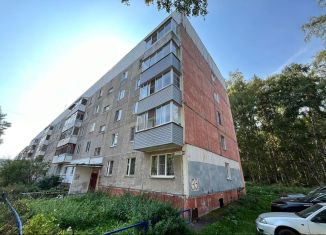 2-ком. квартира на продажу, 48 м2, Ярославская область, рабочий посёлок Лесная Поляна, 33