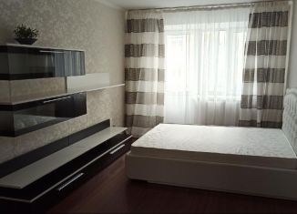 Сдача в аренду 1-ком. квартиры, 40 м2, Калининград, улица Куйбышева, 53А, Ленинградский район