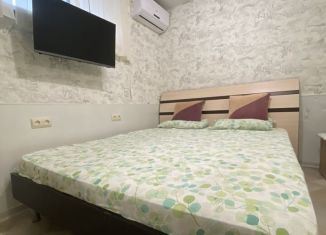 Квартира в аренду студия, 20 м2, село Мысхако, улица Владимира Кайды, 8