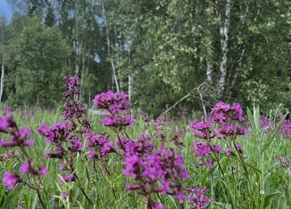 Продается земельный участок, 14 сот., коттеджный посёлок Ёлкино, Сосновая улица