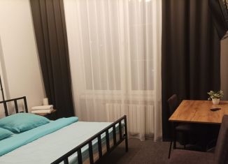 Аренда комнаты, 14 м2, Екатеринбург, Красный переулок, 5к2, метро Площадь 1905 года