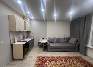 Квартира в аренду студия, 24 м2, Бийск, Согренная улица, 21