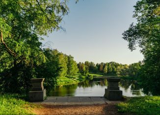 Продажа участка, 12.9 сот., деревня Ладога