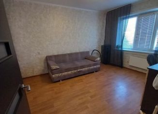 Сдается 1-комнатная квартира, 37 м2, Новосибирск, улица Титова, 240/1