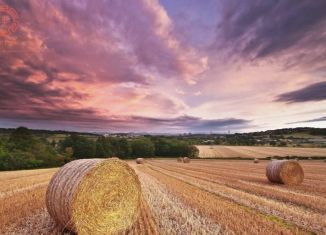 Продаю земельный участок, 88 сот., Батальненское сельское поселение