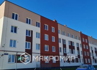 Продам двухкомнатную квартиру, 45.9 м2, городской посёлок Новоселье, Большая Балтийская улица, 6