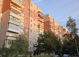 2-ком. квартира на продажу, 45 м2, Санкт-Петербург, Красносельский район, улица Чекистов, 38