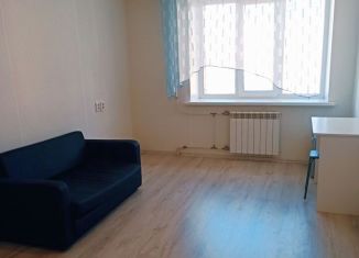 Сдам в аренду квартиру студию, 18 м2, Екатеринбург, Ключевская улица, 18, метро Геологическая