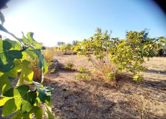 Продаю участок, 5 сот., товарищество собственников недвижимости Аджимушкаец, Фруктовая улица