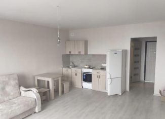 Сдается квартира студия, 30 м2, Новосибирск, Плющихинская улица, 10