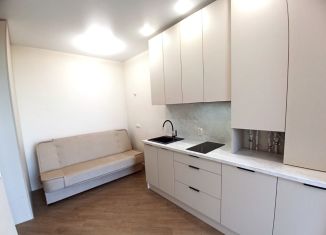 Продажа 1-ком. квартиры, 26 м2, Пионерский, улица Гептнера, 19