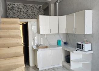 Продается квартира студия, 35 м2, село Орёл-Изумруд, Петрозаводская улица, 8