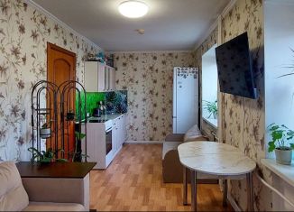 Продажа квартиры студии, 25 м2, Электросталь, Трудовая улица, 39