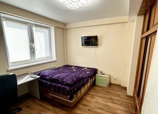 Сдается квартира студия, 37 м2, Республика Башкортостан, улица Шмидта, 160/1