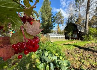 Дача на продажу, 59 м2, Иркутская область, СНТ Алюминщик, 16