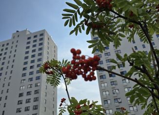 Продается квартира студия, 34 м2, Пенза, Побочинская улица, с14, Октябрьский район