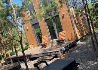 Сдаю в аренду дом, 41 м2, деревня Ермолаево