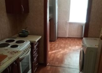 Квартира в аренду студия, 14 м2, Старый Оскол, микрорайон Интернациональный, 13