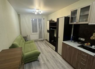 Сдается в аренду квартира студия, 21 м2, Мурино, Воронцовский бульвар, 17