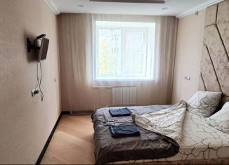 Сдается в аренду 2-ком. квартира, 45.5 м2, Нижегородская область, улица Дружаева, 15А