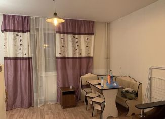 Сдаю квартиру студию, 28 м2, Копейск, проспект Славы, 14