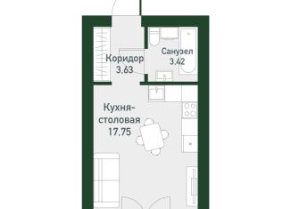 Продажа квартиры студии, 24.9 м2, Екатеринбург, метро Чкаловская