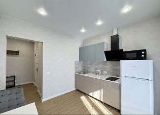 Аренда 1-комнатной квартиры, 40 м2, Новосибирск