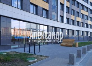 Квартира на продажу студия, 24.2 м2, Мурино, проспект Авиаторов Балтики, 25