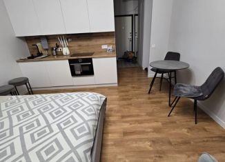 Аренда квартиры студии, 30 м2, Котельники, микрорайон Новые Котельники, 6