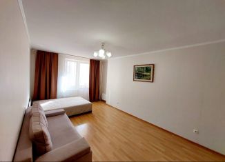 Продам 1-ком. квартиру, 46 м2, Екатеринбург, улица Фролова, 19к1, метро Динамо