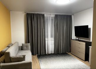 Квартира в аренду студия, 30 м2, Котельники, микрорайон Новые Котельники, 4