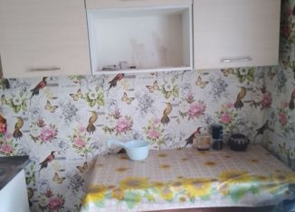 Сдается в аренду дом, 62.7 м2, Называевск, Новая улица