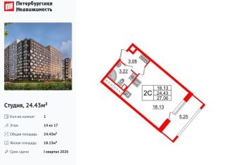 Продам квартиру студию, 24.4 м2, Санкт-Петербург, метро Проспект Большевиков