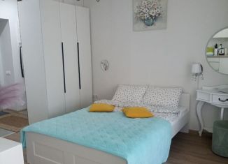 Сдача в аренду 1-ком. квартиры, 30 м2, Москва, Ленинградское шоссе, 228к3