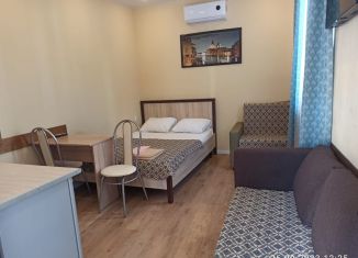 Сдаю в аренду квартиру студию, 25 м2, Сочи, Джигитская улица, 7