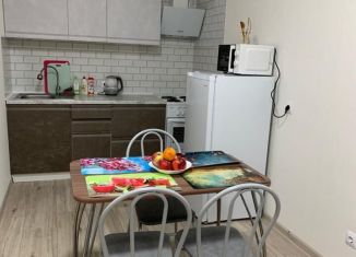 Сдается в аренду 1-комнатная квартира, 40 м2, Анапа, Супсехское шоссе, 39к3