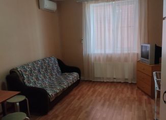 Сдается в аренду квартира студия, 25 м2, Краснодар, 1-й проезд Талалихина, 28, микрорайон 9 километр