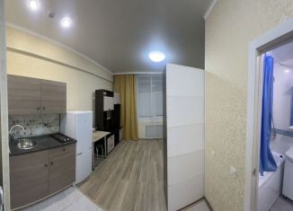 Квартира в аренду студия, 19.5 м2, Татарстан, улица Побежимова, 47