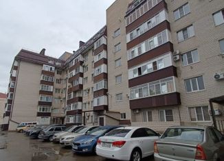 Продажа квартиры студии, 25 м2, Ставропольский край, проспект Кулакова, 13В