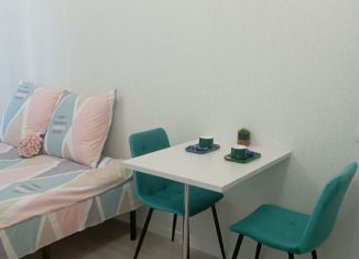 Сдается квартира студия, 24 м2, Пермь, Оханская улица, 17