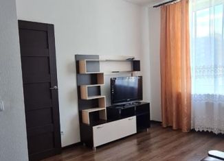 Сдача в аренду 1-ком. квартиры, 31.3 м2, Мурино, улица Шувалова, 27/7, ЖК Гринландия-2