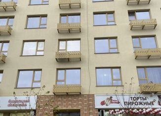 Квартира в аренду студия, 27 м2, рабочий поселок Южный, улица Герцена, 3к1