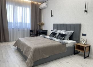 Сдаю 1-ком. квартиру, 48 м2, Пенза, улица Плеханова, 14