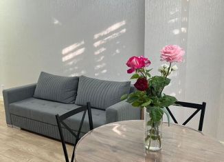 Сдается в аренду 1-комнатная квартира, 53 м2, Избербаш, улица Калинина, 16