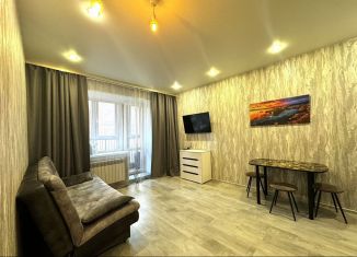 Продам квартиру студию, 26 м2, деревня Кисловка, бульвар Николая Гумилёва, 2