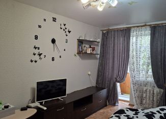 Продажа 1-комнатной квартиры, 30 м2, Серов, улица Ленина, 246А