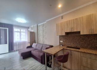 Продам квартиру студию, 30 м2, Ростов-на-Дону, улица Мечникова, 39Б